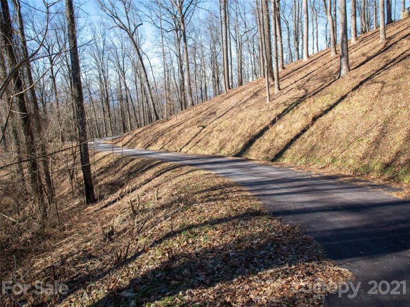 Property image 4 at 99999 Old Forest Drive, Asheville, NC 28803