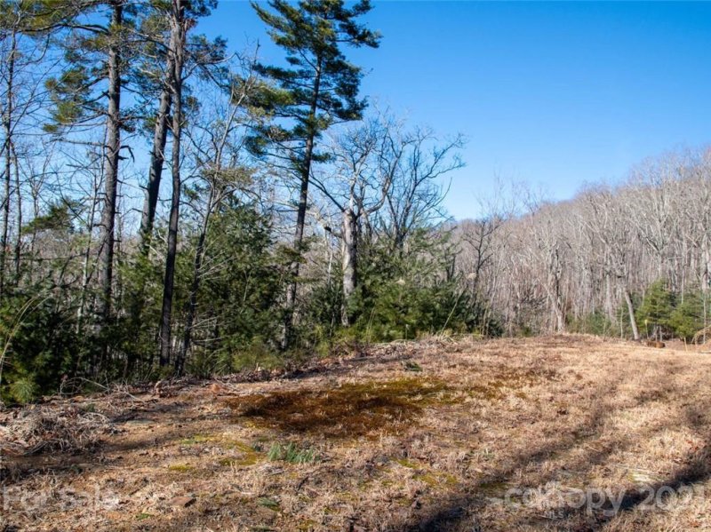 Property image 3 at 46 Giffords Lane, Asheville, NC 28803