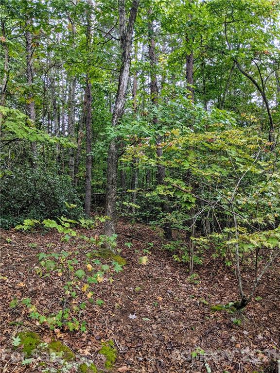 Property image 2 at 0 Dublin Lane, Columbus, NC 28722