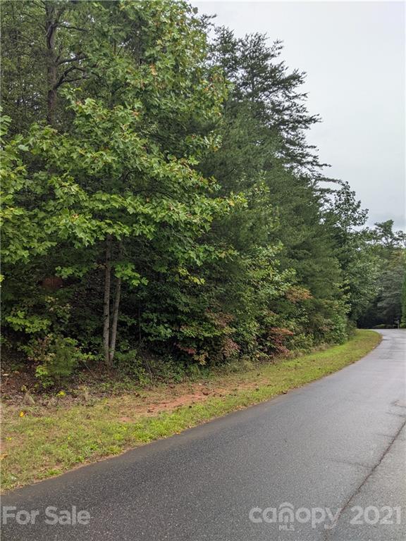 Property image 3 at 0 Dublin Lane, Columbus, NC 28722