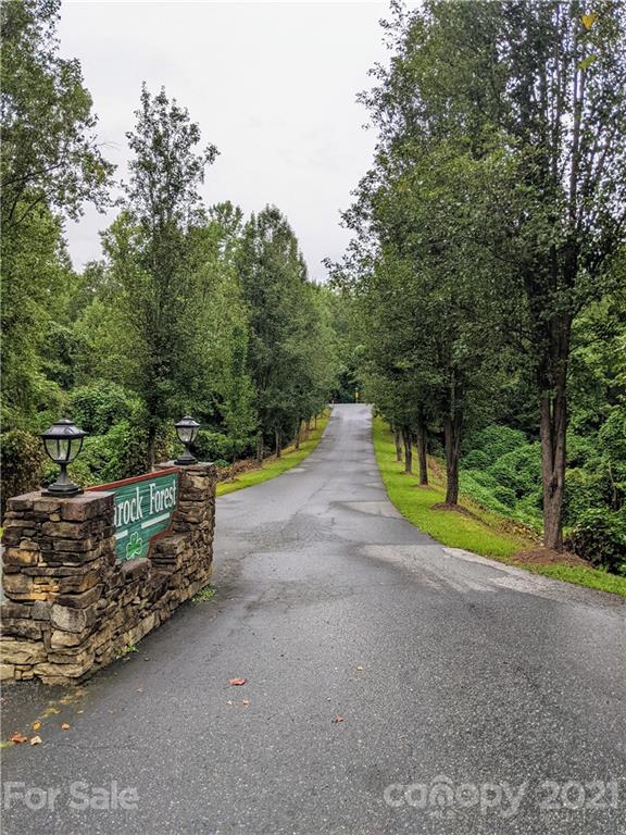 Property image 5 at 0 Dublin Lane, Columbus, NC 28722