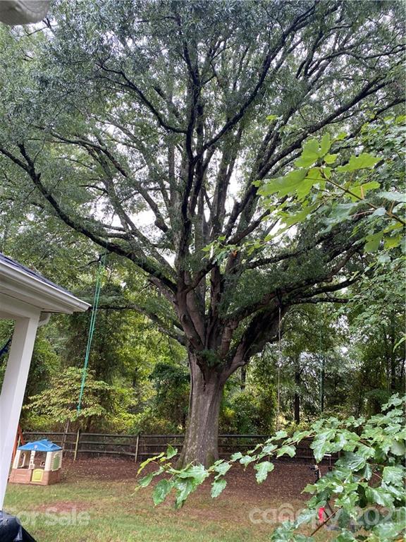 Property image 5 at 8432 Olde Stonegate Lane, Mint Hill, NC 28227