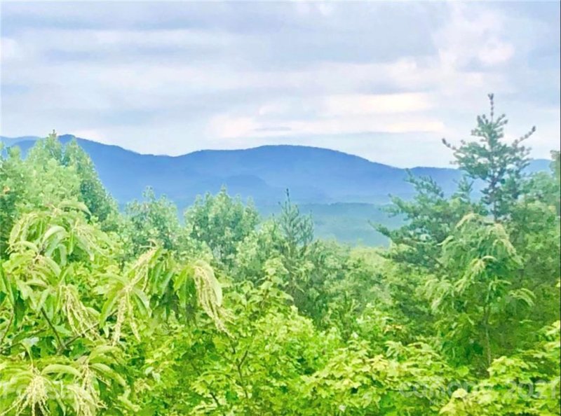 Property image 3 at 438 Hidden Hills Drive, Rutherfordton, NC 28139