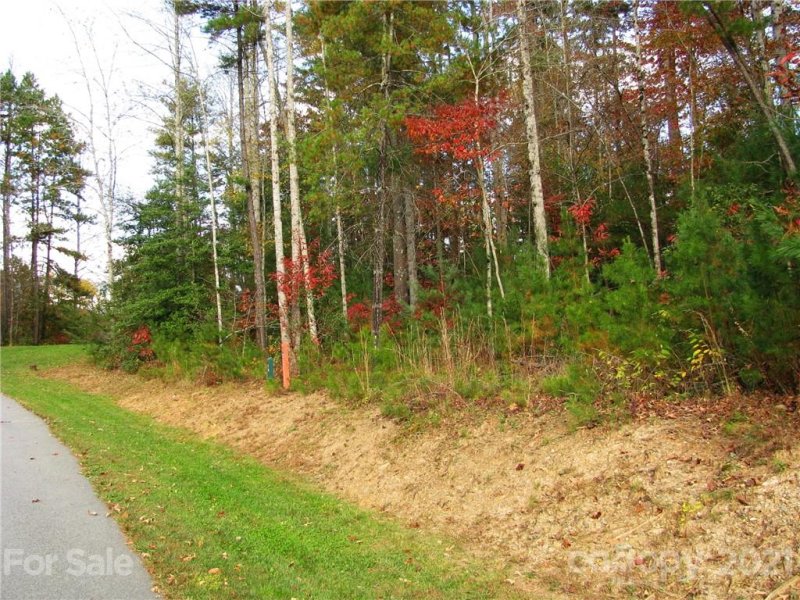 Property image 2 at Tbd Springhouse Trail, Brevard, NC 28712