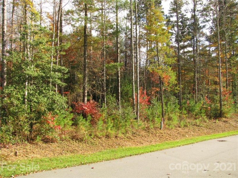 Property image 3 at Tbd Springhouse Trail, Brevard, NC 28712