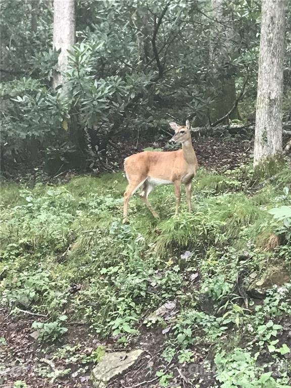 Property image 2 at 285 Fairway Loop, Burnsville, NC 28714