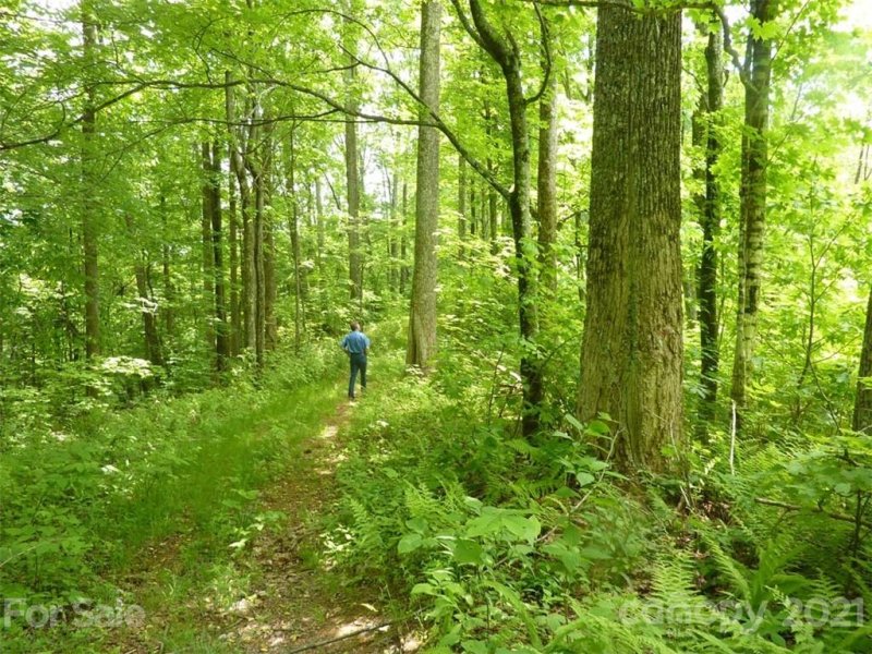 Tbd Running Bear Road