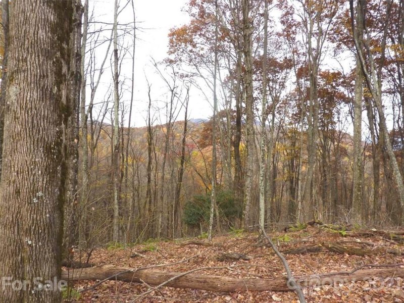 Property image 2 at Tbd Running Bear Road, Hot Springs, NC 28743