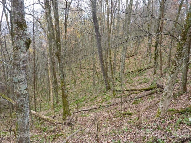 Property image 4 at Tbd Running Bear Road, Hot Springs, NC 28743