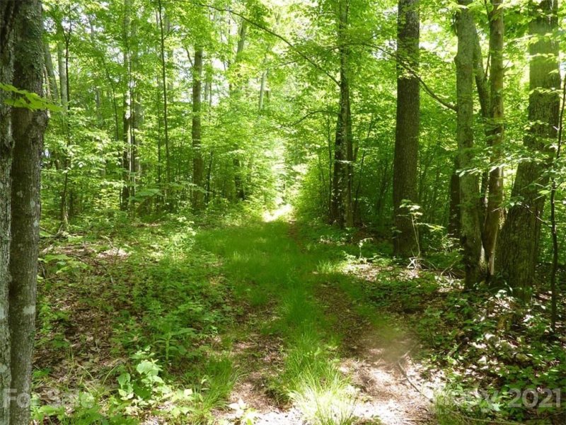 Property image 5 at Tbd Running Bear Road, Hot Springs, NC 28743