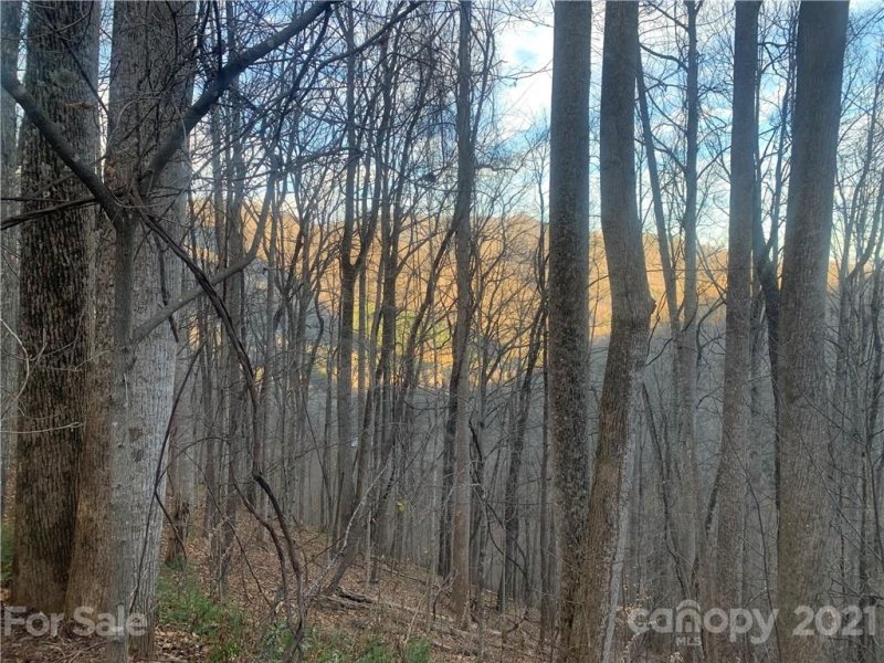 Property image 3 at 000 Rugged Top Road, Waynesville, NC 28751