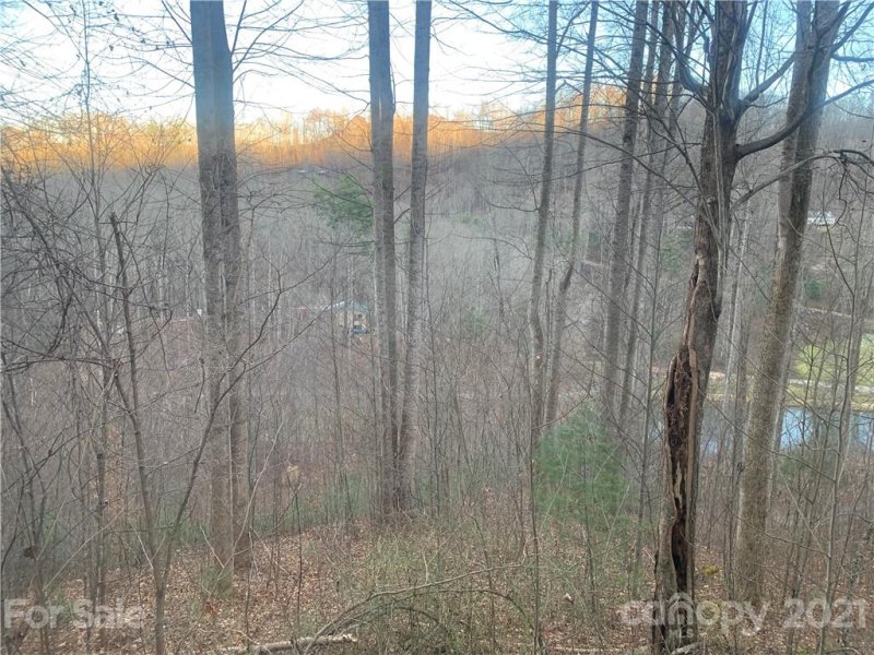 Property image 4 at 000 Rugged Top Road, Waynesville, NC 28751