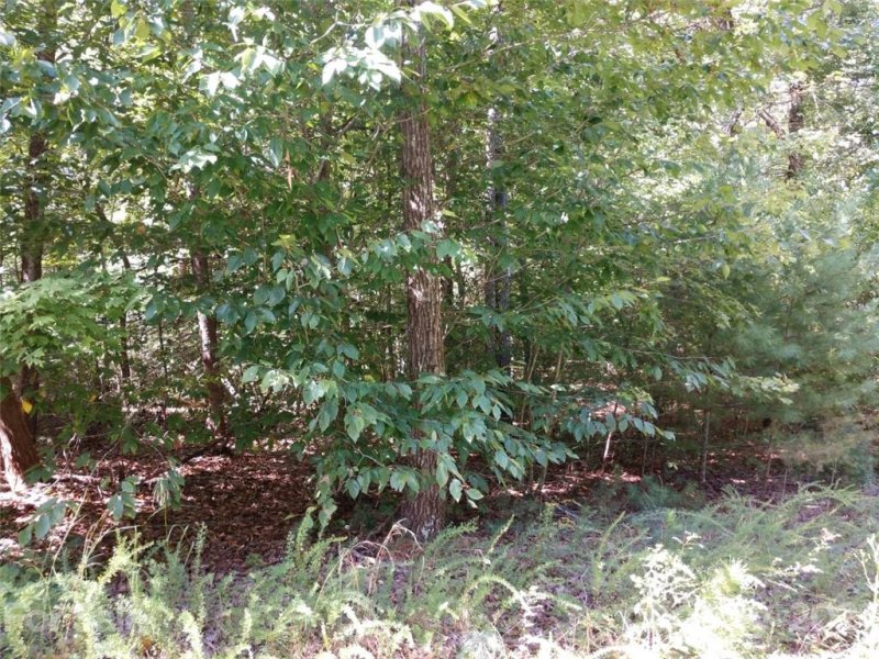 Property image 4 at 00 James View Road, Marion, NC 28752