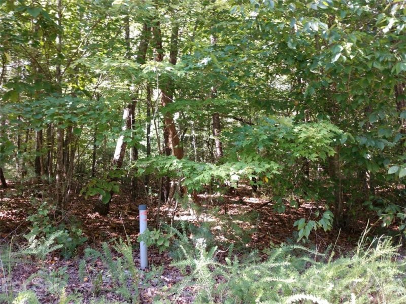 Property image 5 at 00 James View Road, Marion, NC 28752