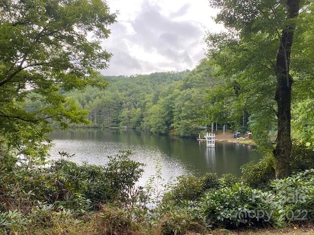 Property image 3 at Lot 9 Galax Lane, Brevard, NC 28712