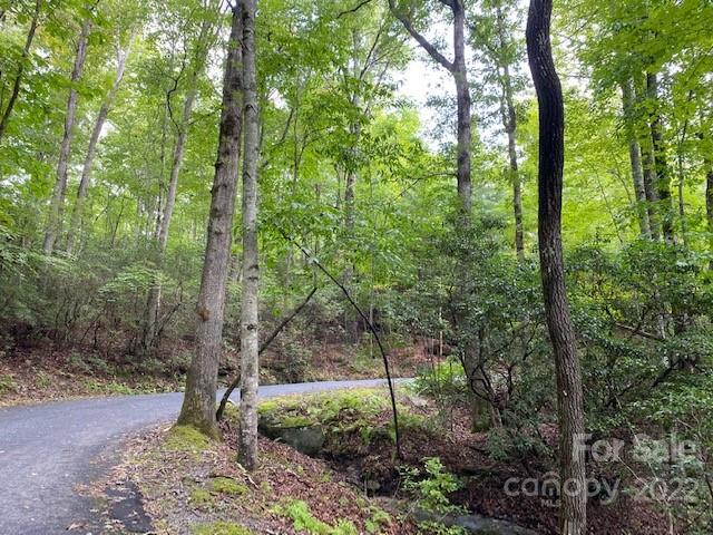 Property image 4 at Lot 9 Galax Lane, Brevard, NC 28712