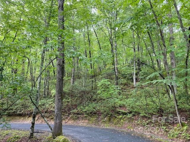 Property image 5 at Lot 9 Galax Lane, Brevard, NC 28712