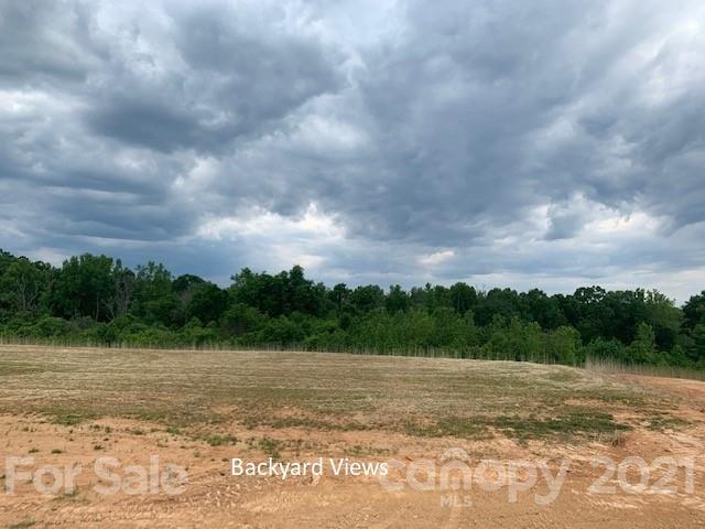 Property image 2 at 12820 Aberdeen Park Drive, Huntersville, NC 28078