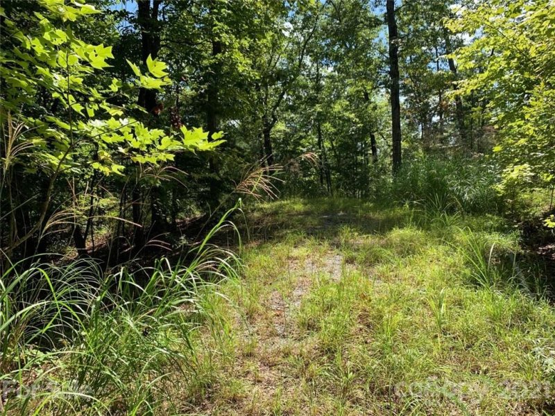 Property image 3 at 999 Silver Ridge Road, Mill Spring, NC 28756