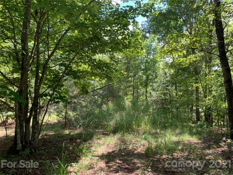 Property image 4 at 999 Silver Ridge Road, Mill Spring, NC 28756