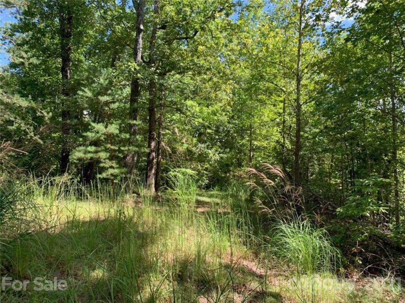 Property image 5 at 999 Silver Ridge Road, Mill Spring, NC 28756