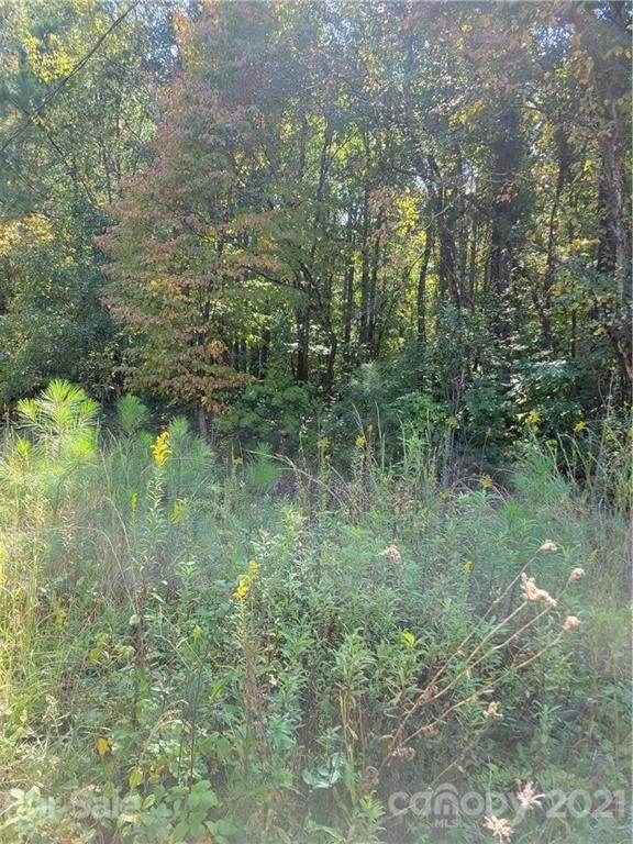 Property image 3 at 00 Rolling Road, Lincolnton, NC 28092