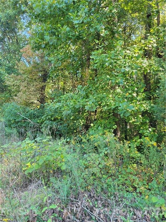 Property image 5 at 00 Rolling Road, Lincolnton, NC 28092