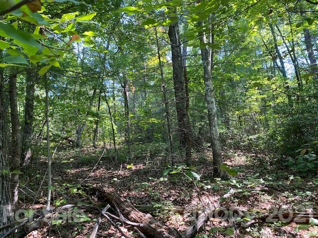 Property image 3 at Lot 43 Justice Drive, Lake Lure, NC 28746