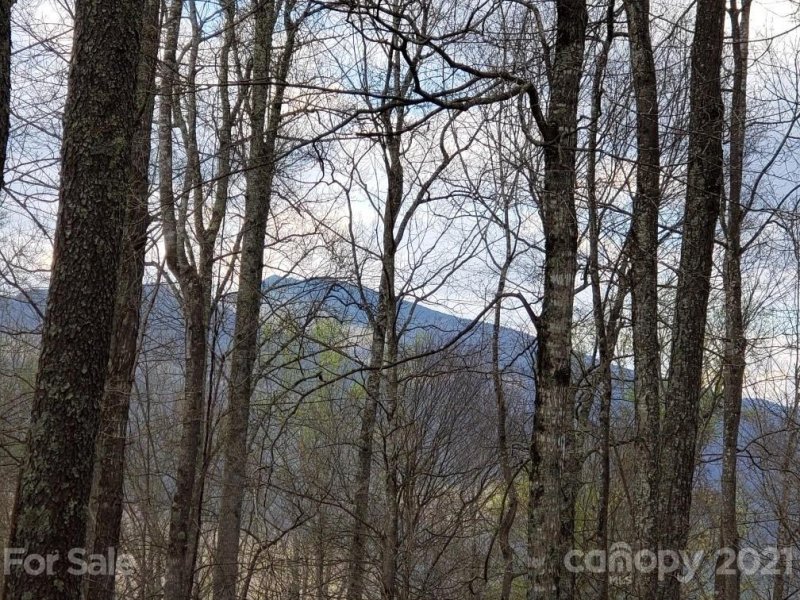 Property image 5 at Lots 64 65 Locust Gap Road, Bakersville, NC 28705