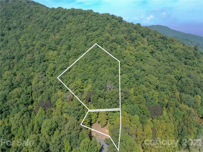 Property image 2 at 54 Ashewood Ridge Drive, Candler, NC 28715