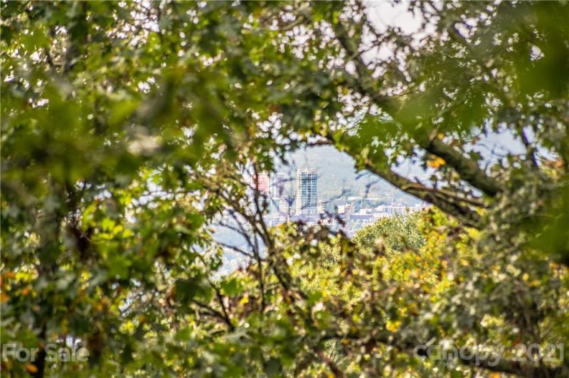 Property image 2 at 14 Villa Nova Drive, Asheville, NC 28804