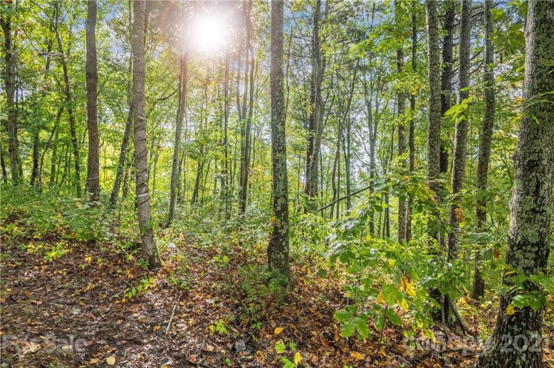 Property image 3 at 14 Villa Nova Drive, Asheville, NC 28804