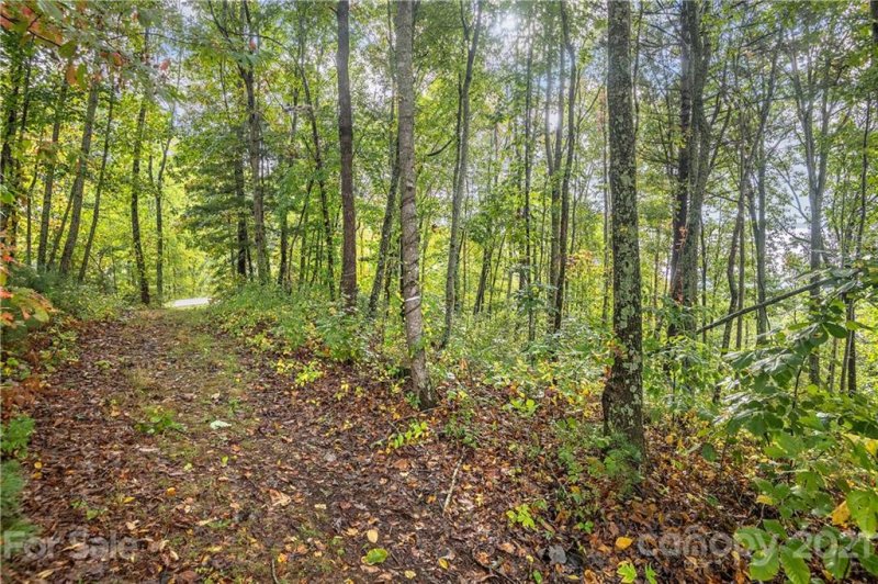 Property image 4 at 14 Villa Nova Drive, Asheville, NC 28804