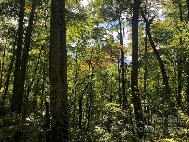 Property image 4 at Lot 19 Catawba Ridge, Maggie Valley, NC 28751