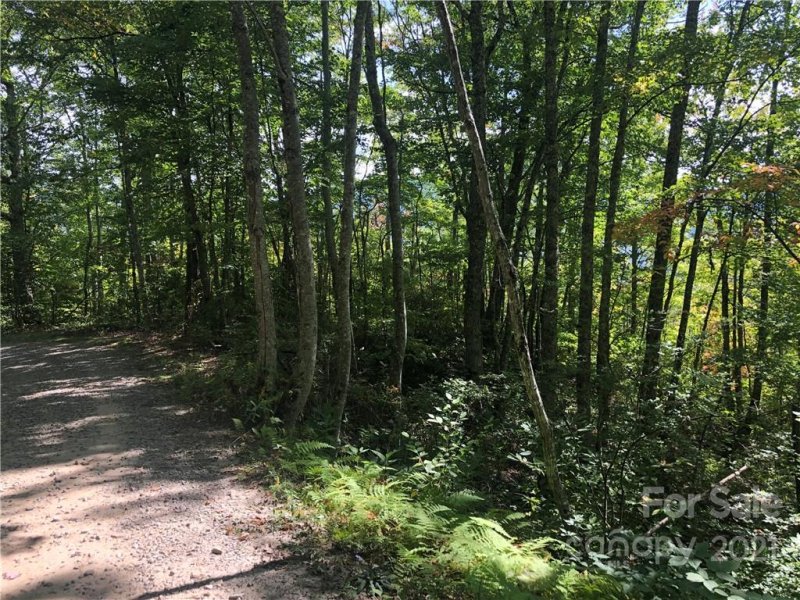 Property image 5 at Lot 19 Catawba Ridge, Maggie Valley, NC 28751