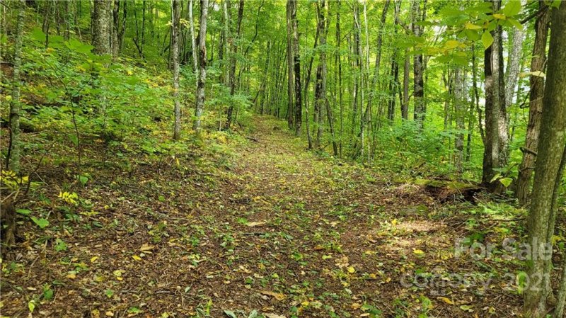 Lot 313 Serenity Mountain Road