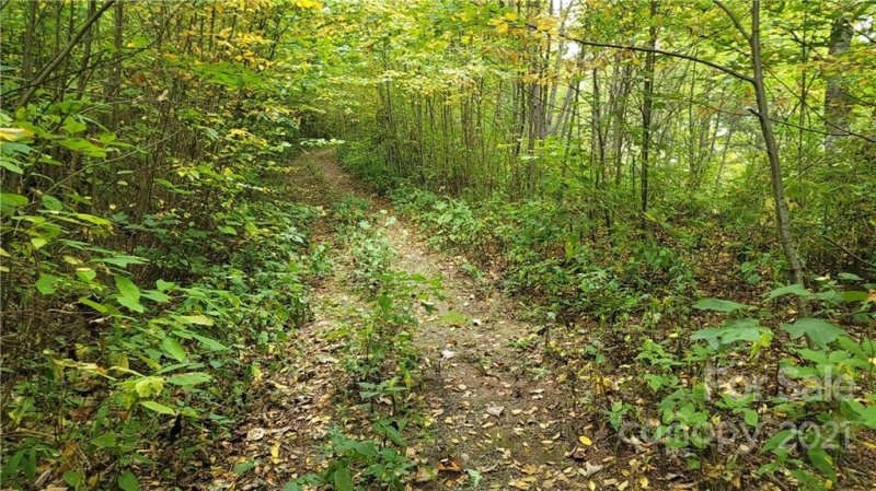 Property image 2 at Lot 313 Serenity Mountain Road, Waynesville, NC 28786