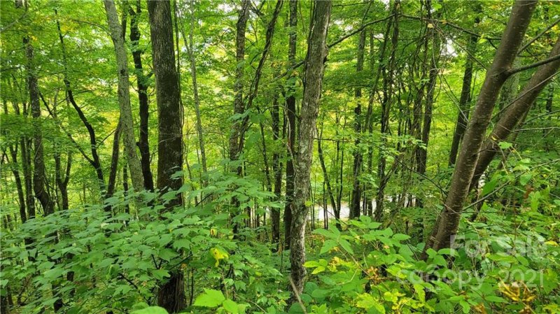 Property image 3 at Lot 313 Serenity Mountain Road, Waynesville, NC 28786