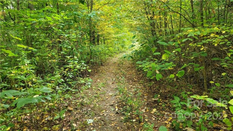 Property image 4 at Lot 313 Serenity Mountain Road, Waynesville, NC 28786