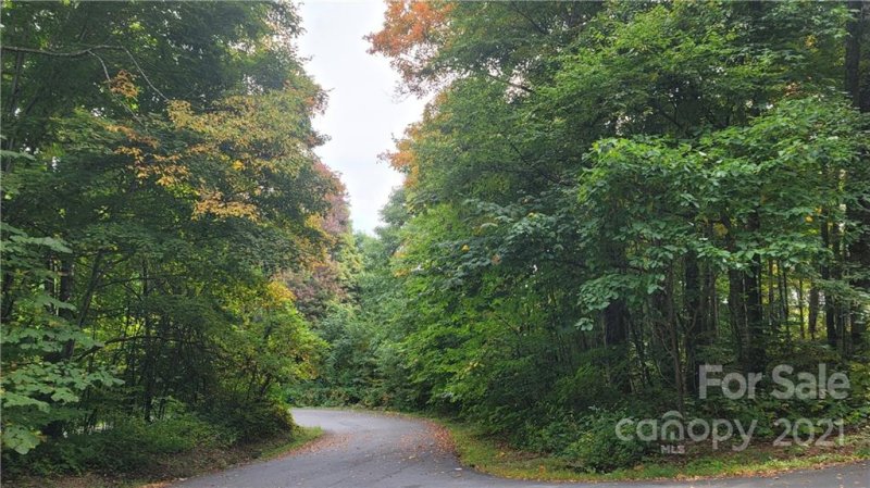 Property image 5 at Lot 313 Serenity Mountain Road, Waynesville, NC 28786