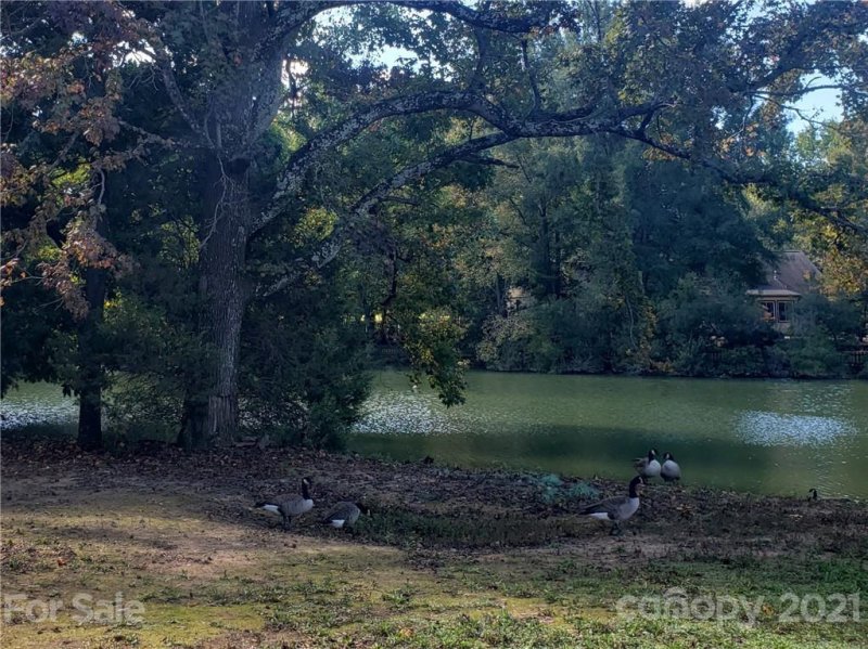 Property image 4 at 4801 Spring Lake Drive, Charlotte, NC 28212