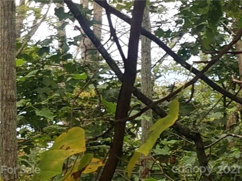 Property image 2 at 00 Twisted Trail, Waynesville, NC 28786