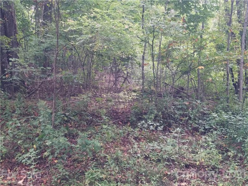 Property image 3 at 00 Twisted Trail, Waynesville, NC 28786