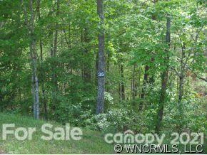 Property image 3 at 9999 Settlers Trail, Mars Hill, NC 28754