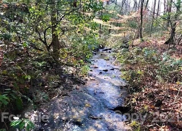 Property image 4 at 0 Country Way, Lake Lure, NC 28746