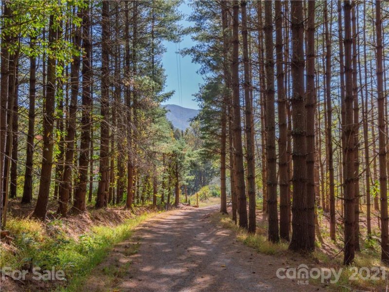 Property image 3 at 352 Wilson Drive, Canton, NC 28716