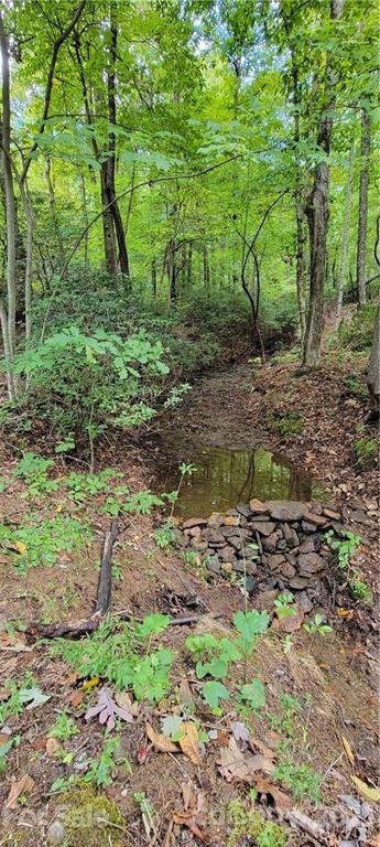 Property image 2 at Lot 68 Serpentine Drive, Columbus, NC 28722