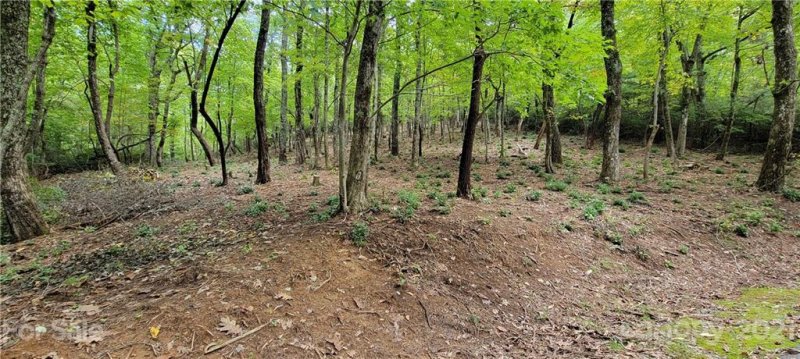 Property image 3 at Lot 68 Serpentine Drive, Columbus, NC 28722