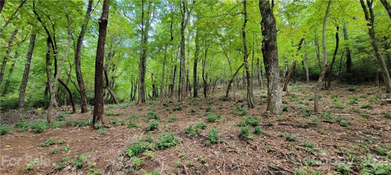 Property image 5 at Lot 68 Serpentine Drive, Columbus, NC 28722