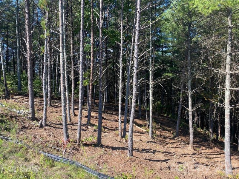 Property image 3 at 1934 Saylor Way, Nebo, NC 28761